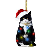 Black Cat Christmas Decorations Acrylic Double-sided Printing Ornaments