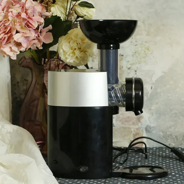 Automatic Frozen Fruit Dessert Machine Fruit Ice Cream Machine Maker Milkshake Machine