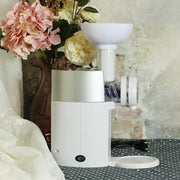 Automatic Frozen Fruit Dessert Machine Fruit Ice Cream Machine Maker Milkshake Machine