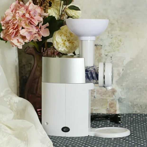 Automatic Frozen Fruit Dessert Machine Fruit Ice Cream Machine Maker Milkshake Machine