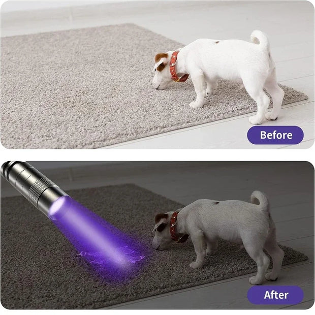 Ultraviolet Torch With Pen Clip Portable AAA Batteries